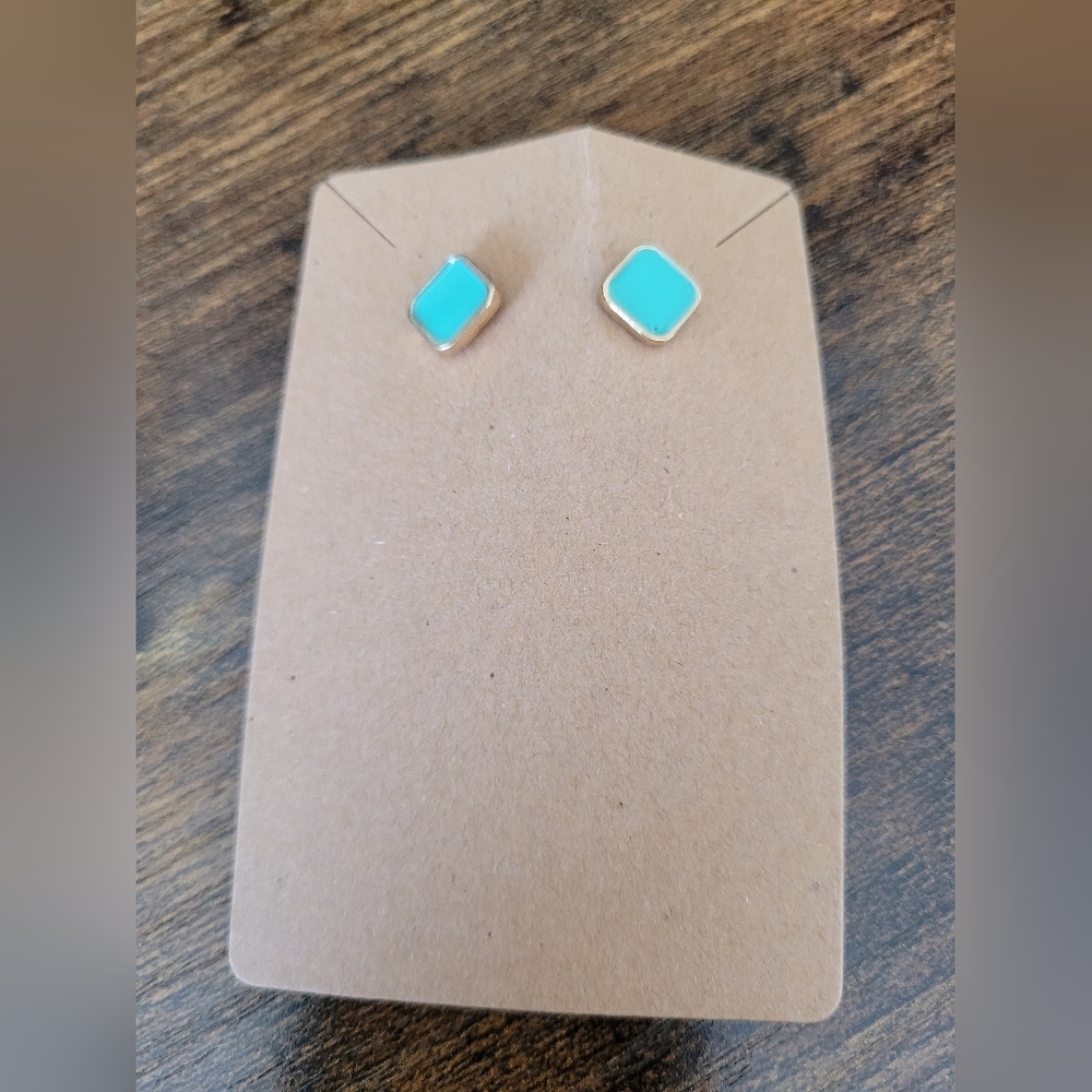 NWT Turquoise Simple Post Earrings